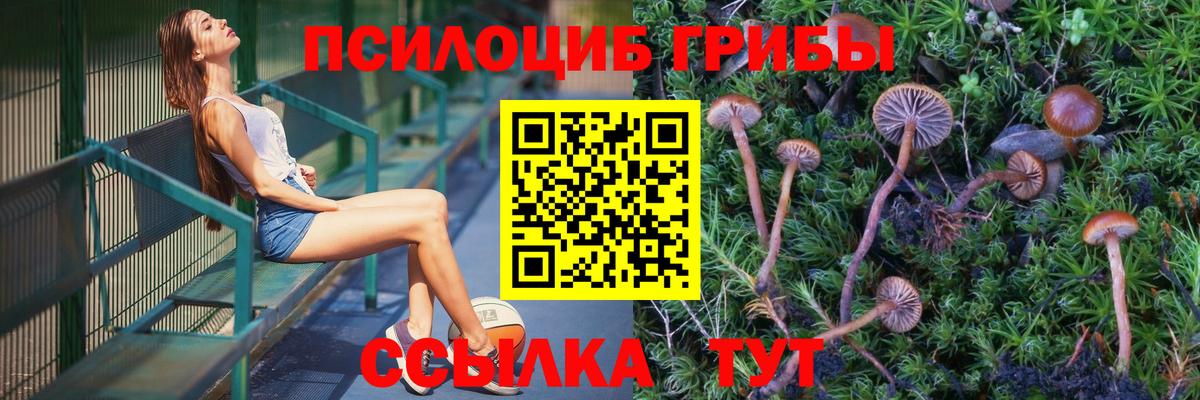Псилоцибиновые грибы Cubensis  Вход с VPN  Симферополь 