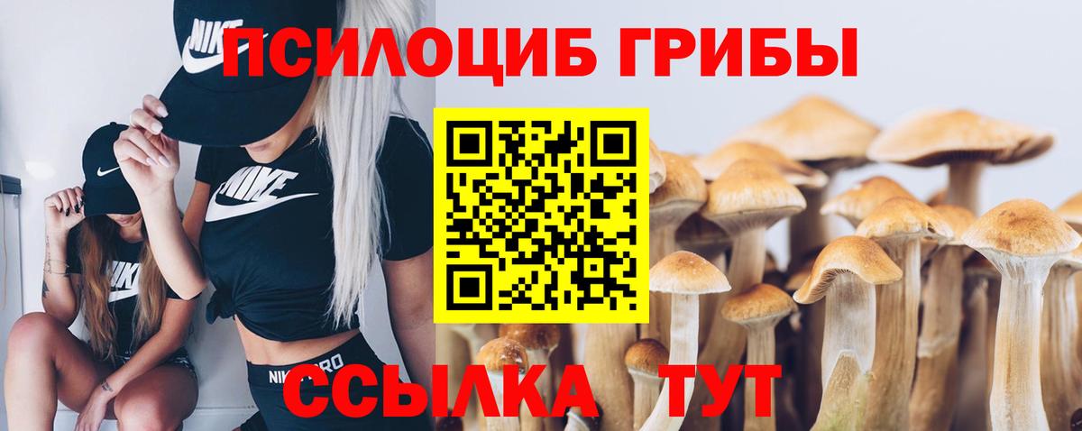 Галлюциногенные грибы Cubensis Симферополь